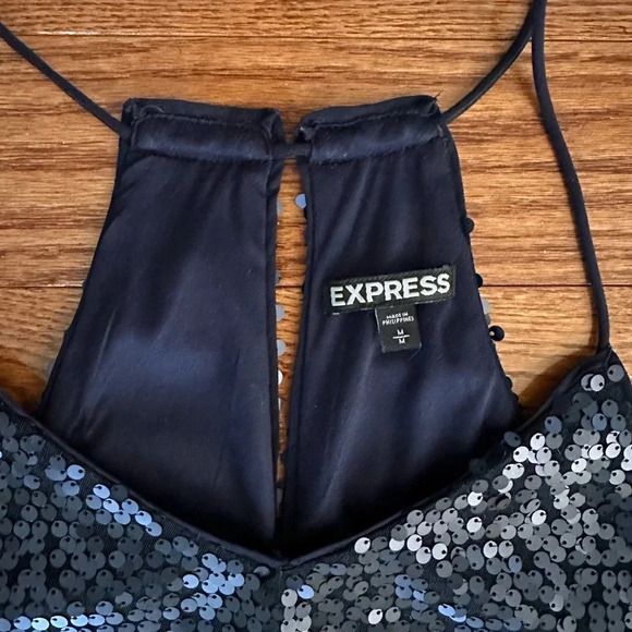 Express Dress - Picture 3 of 3